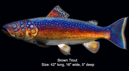 Brown Trout