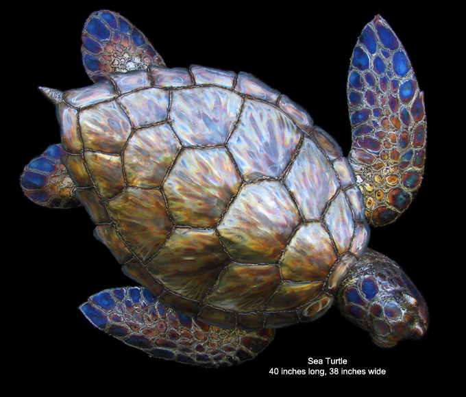 Sea Turtle 2