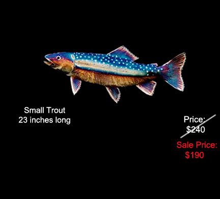 Small Trout
